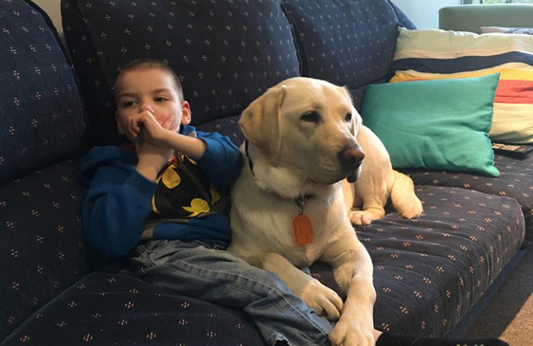 Insight into our Pets As Therapy (PAT) Program: Eligibility and Application Process