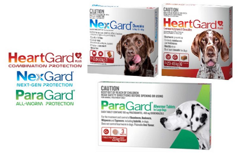 Frequently Asked Questions – Preventative Medicines