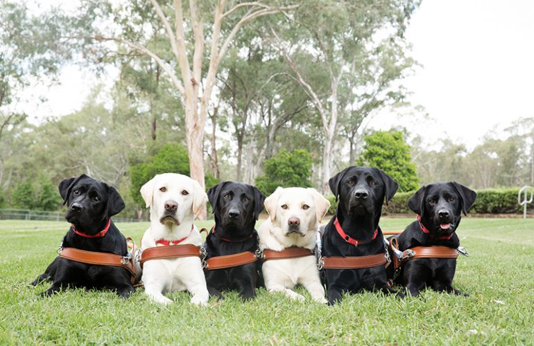 Roseville Presentation Day