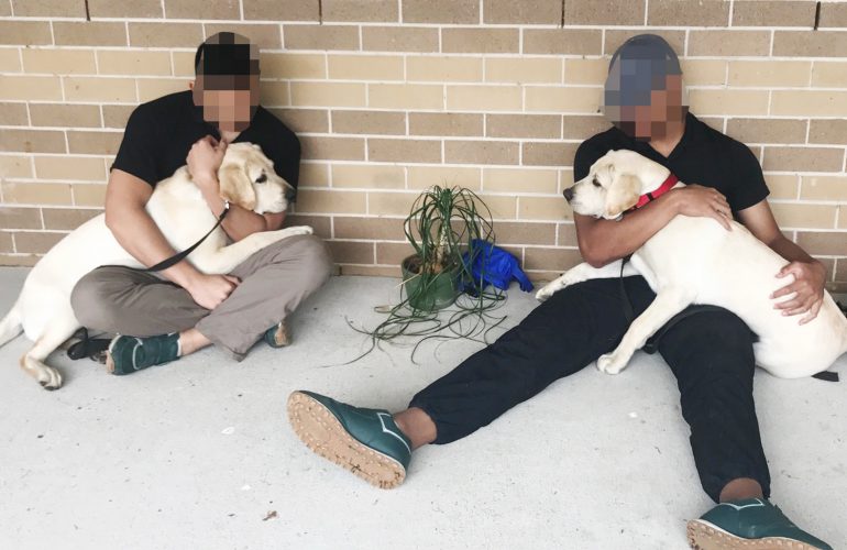 Guide Dog puppies help with rehabilitation in Juvenile Justice Centre