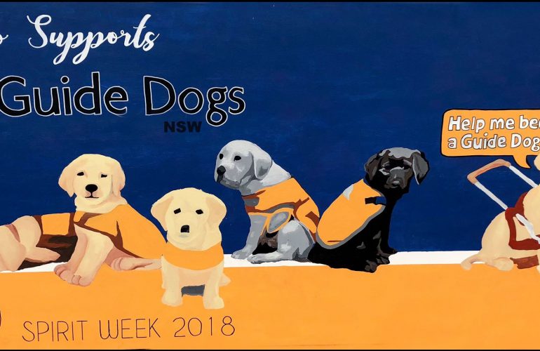 Positive Paws Project