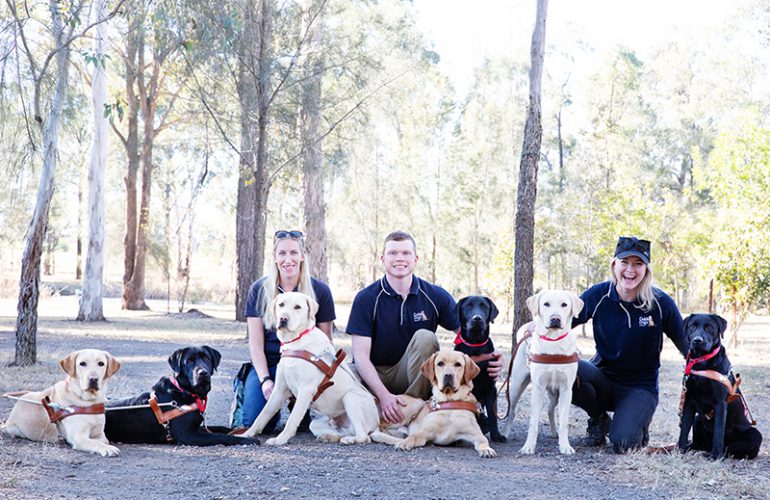 Graduating Guide Dogs presented with their first harness in Port Macquarie