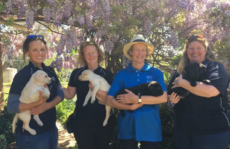 Mudgee Sculptures in the Garden