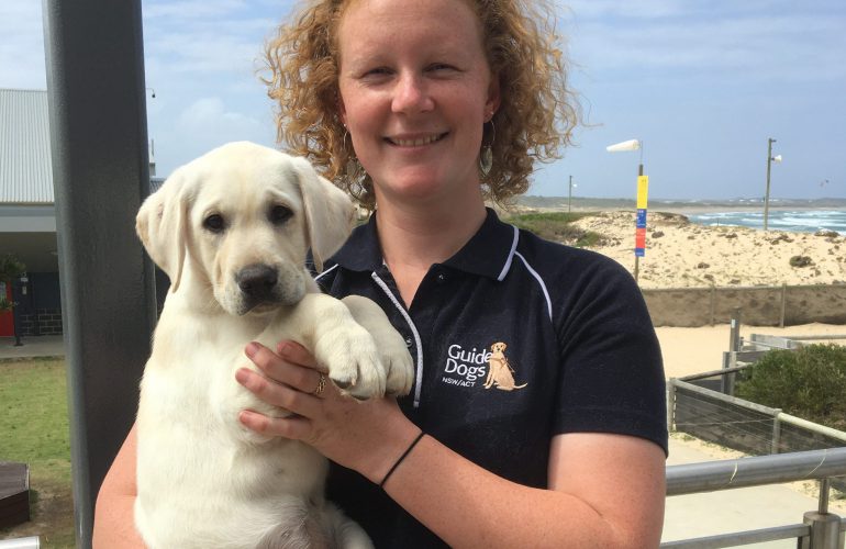 Introducing our new Puppy Development Advisor