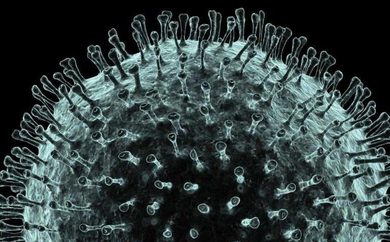 Guide Dogs' response to COVID 19: An adaptation of CEO Dale Cleaver's message to staff