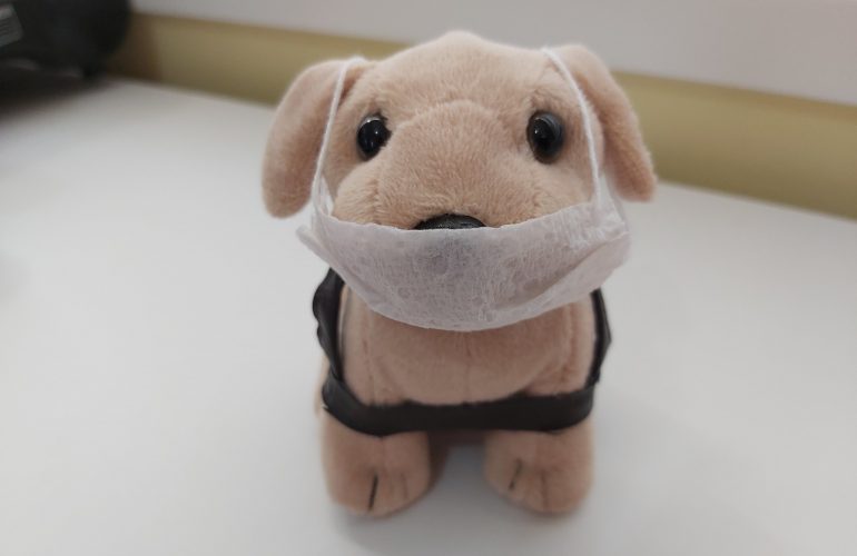 Puppy Development from "Iso"