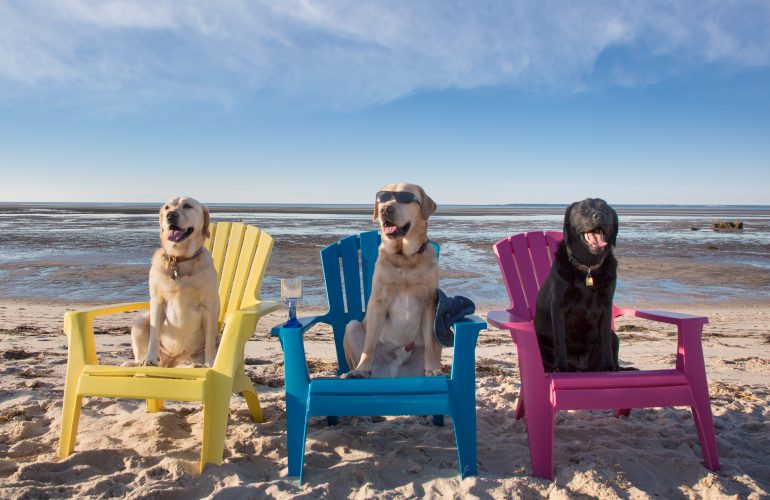 Warm Weather and Water Safety Policies