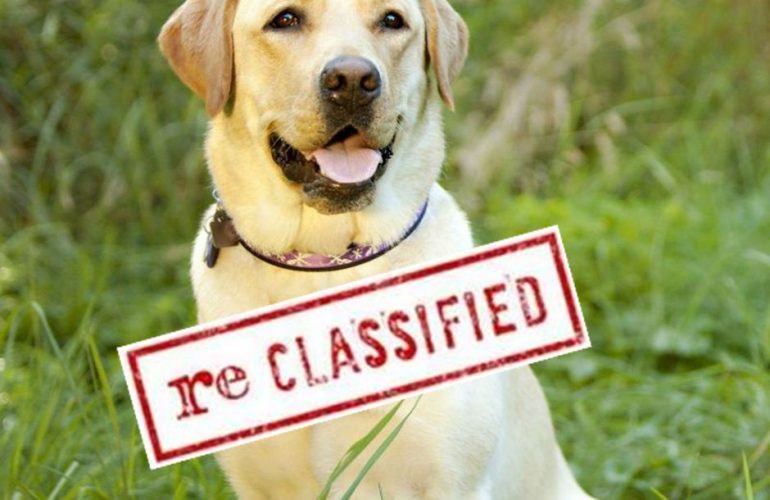 A note from Eddie about reclassification