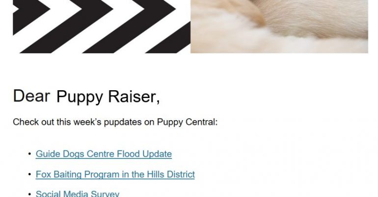 Puppy Central updates