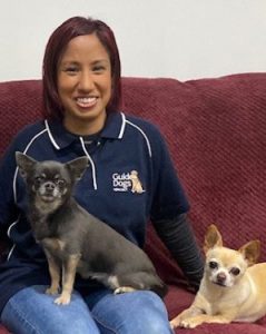 A young woman in a Guide Dogs uniform sitting on the sofa with a black Chihuahua dog in her lap and a yellow one beside her.