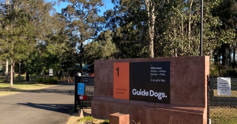 Accessing the Guide Dogs Centre