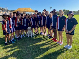 A group of children in sports uniforms is arranged in a semi-circle with a young yellow Labrador in the centre.