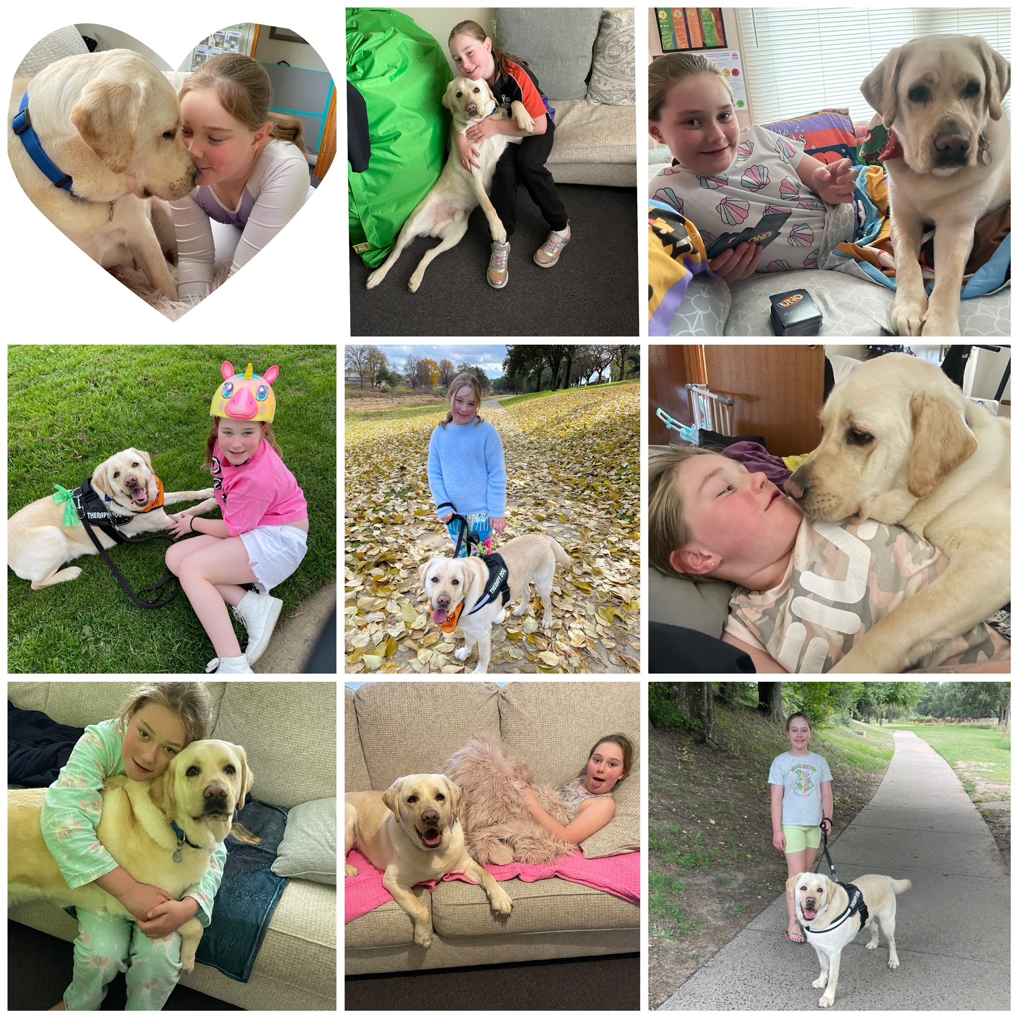 A collage of 9 images of a young girl with a yellow Labrador.